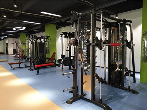 Multi station fitness equipment