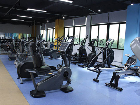 Cardio Fitness Equipment
