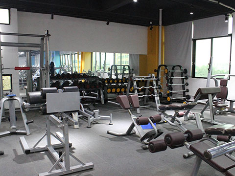 Strength fitness equipment