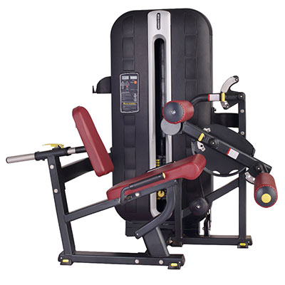 Seated Leg Curl