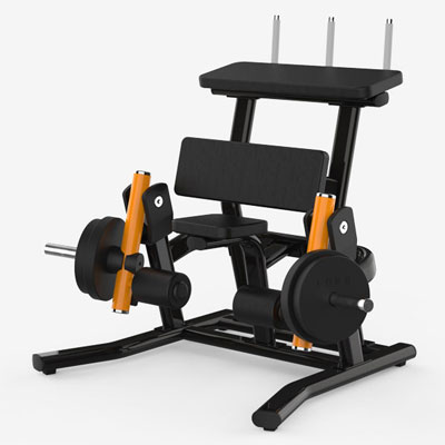 Kneeling Leg Curl