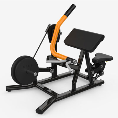 Biceps Curl