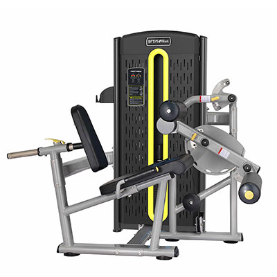 Seated Leg Curl