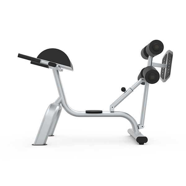 Adjustable Roman Chair