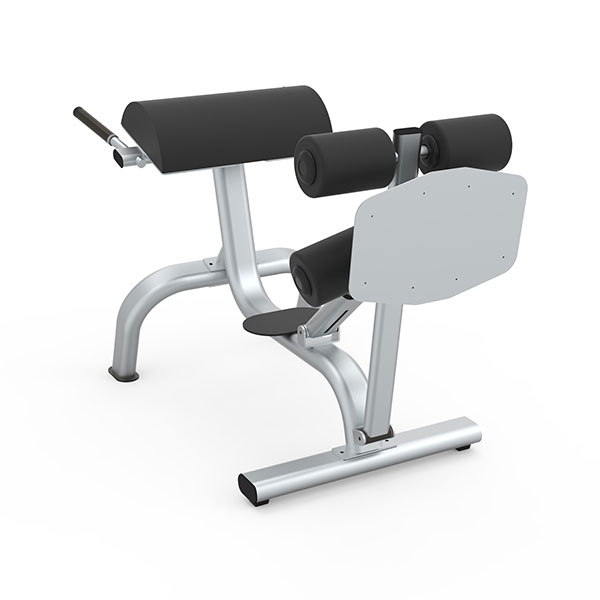 Adjustable Roman Chair