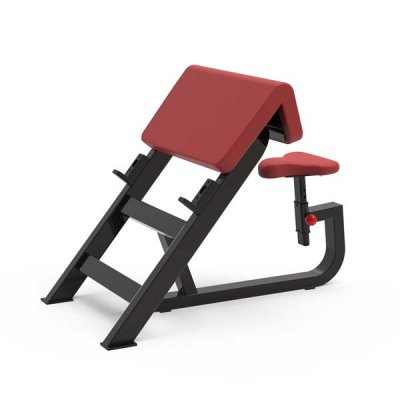 Biceps Bench