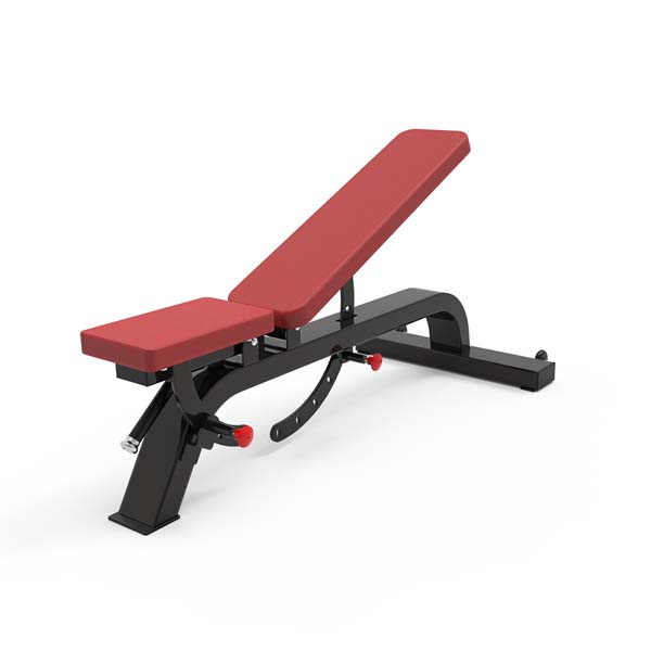 Multi-Adjustable Bench