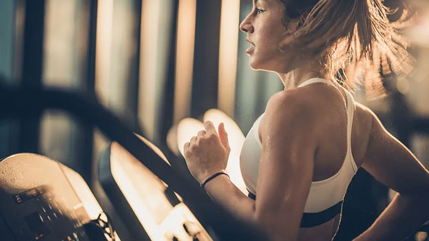 Which gym equipment is best for weight loss