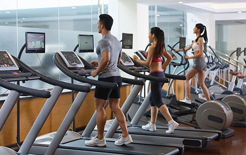 List of Detailed Plans for Gym Equipment Configuration