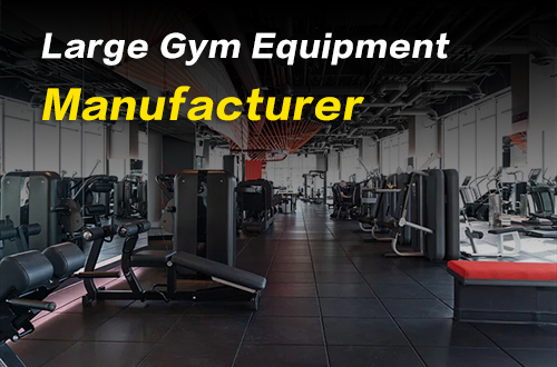 Large Gym Equipment Manufacturer: Shaping the Future of Fitness