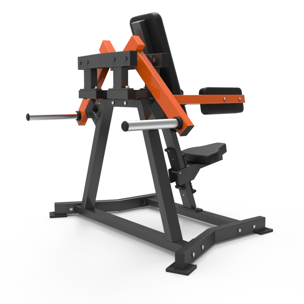 Lateral Raise