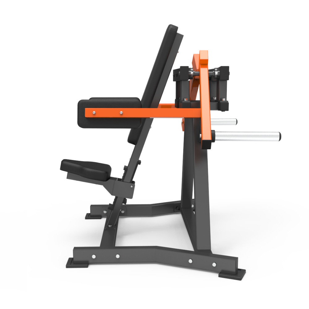 Lateral Raise