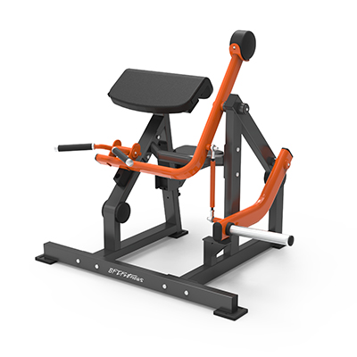 Biceps Curl