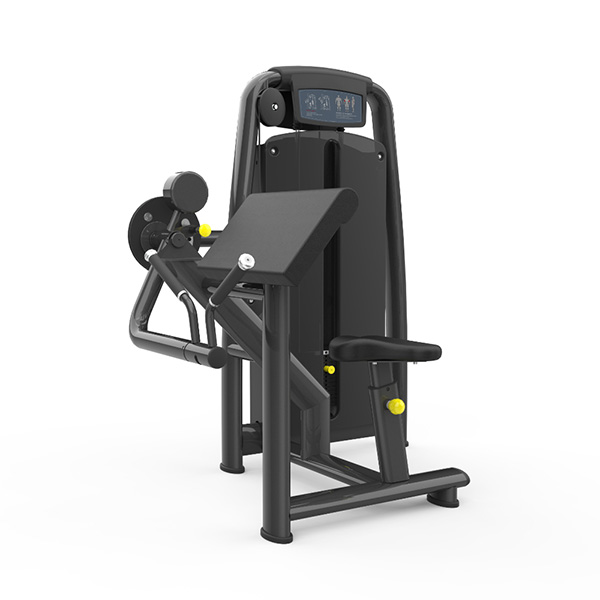 Seated Biceps Curl