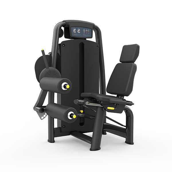 Seated Leg Curl