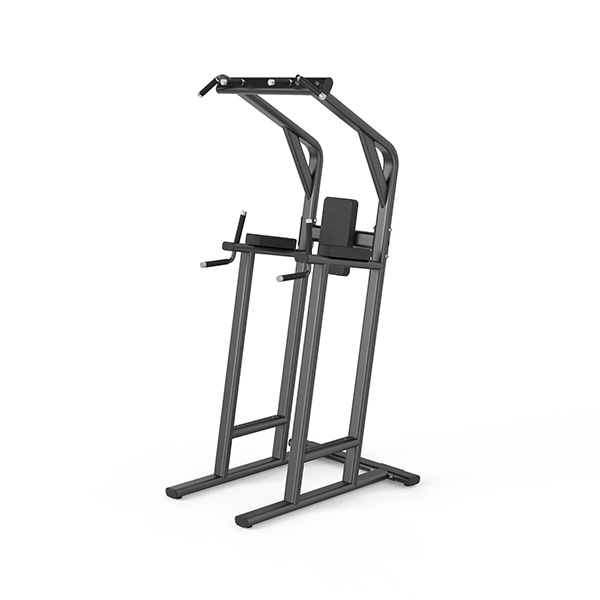 Chin/Dip/Leg Raise