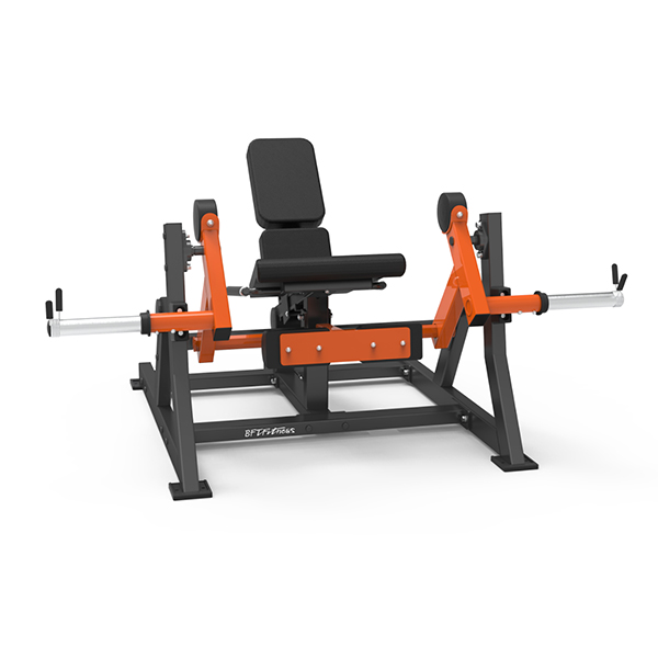 Leg Extension