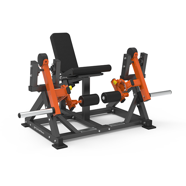 Leg Extension