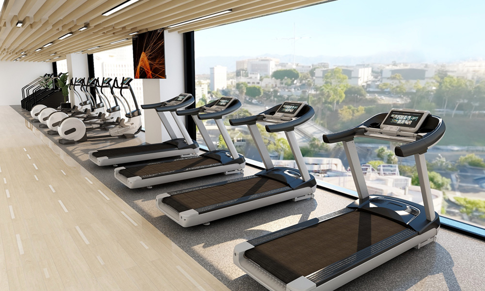 Home Gym Equipment