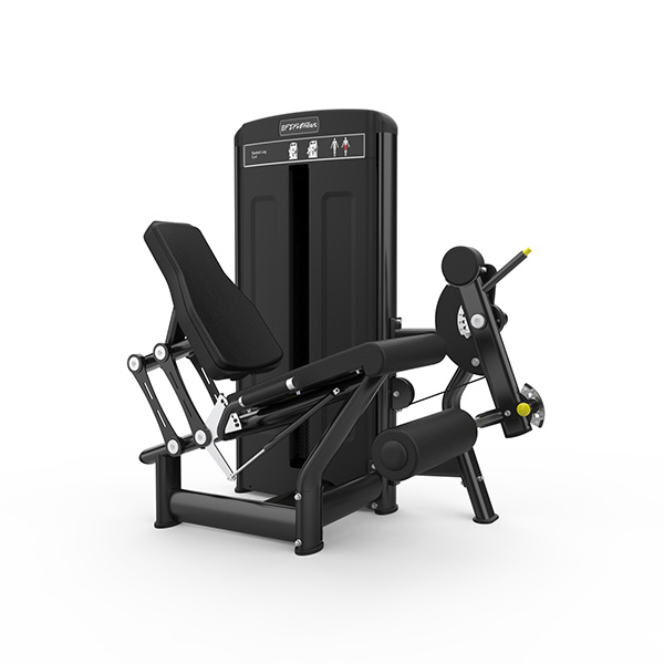 Leg Extension