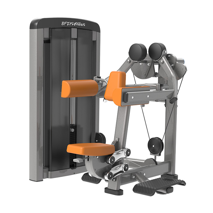 Delts Machine