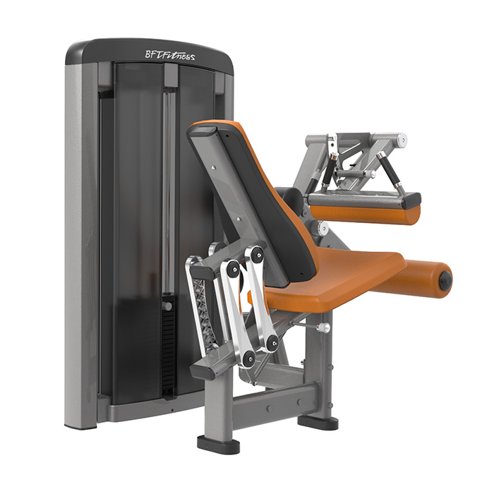 Seated Leg Curl