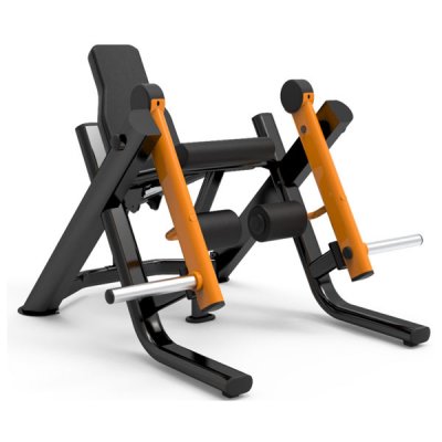 Leg Extension