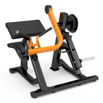 Biceps Curl