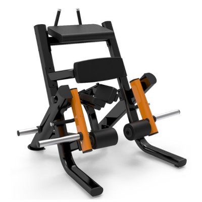 Kneeling Leg Curl