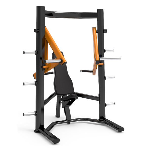 Decline Chest Ppress