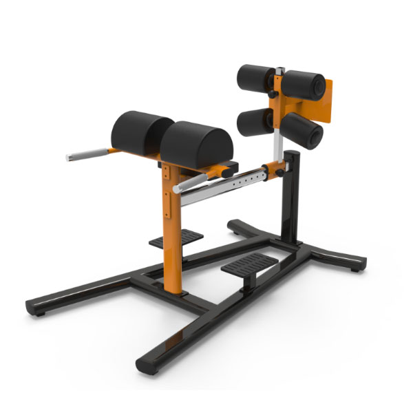 Adjustable Roman Chair