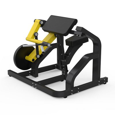Biceps Curl