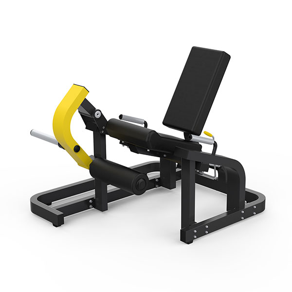 Leg extension