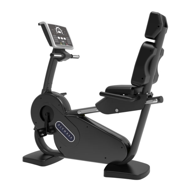 Recumbent Bike