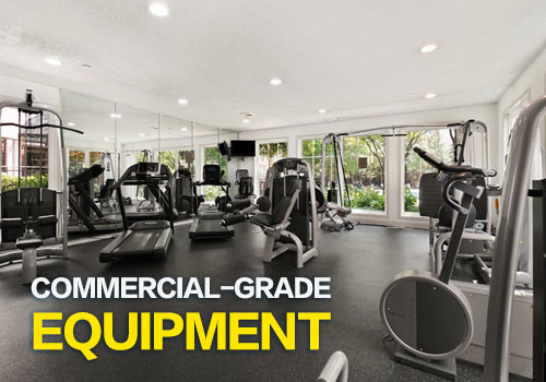 Why Premium Clubs Invest in Commercial-Grade Equipment