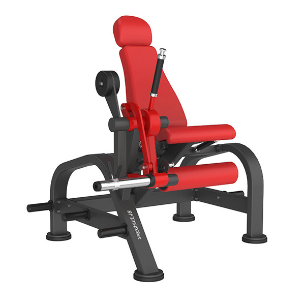 LEG EXTENSION