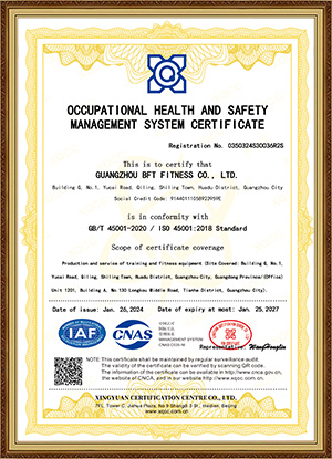 ISO9001 Occupational Health And Safety Management
