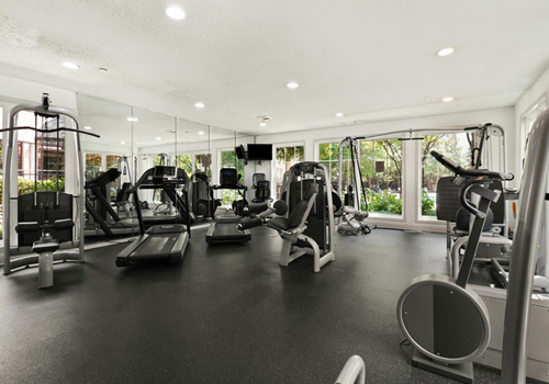 Choosing the Right Fitness Equipment for Boutique Gyms