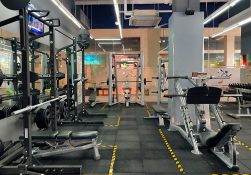 Trends in Plate-Loaded Fitness Equipment for 2026