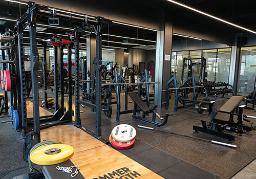 Balancing Free Weights and Machines in Commercial Gyms