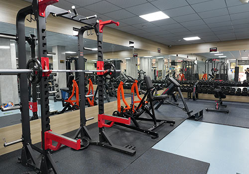 Why Fitness Equipment Prices Vary So Much: Key Factors Explained