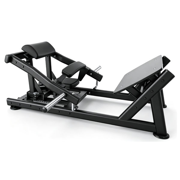 Hip Thrust