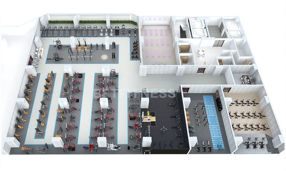 1300m² Gym