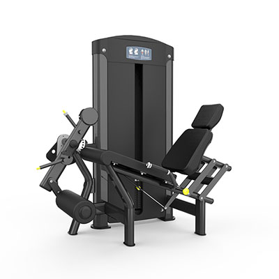 Leg Extension