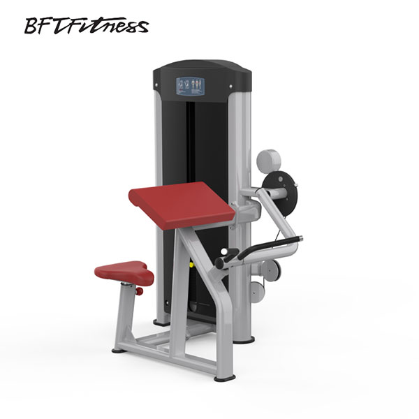 Biceps Curl