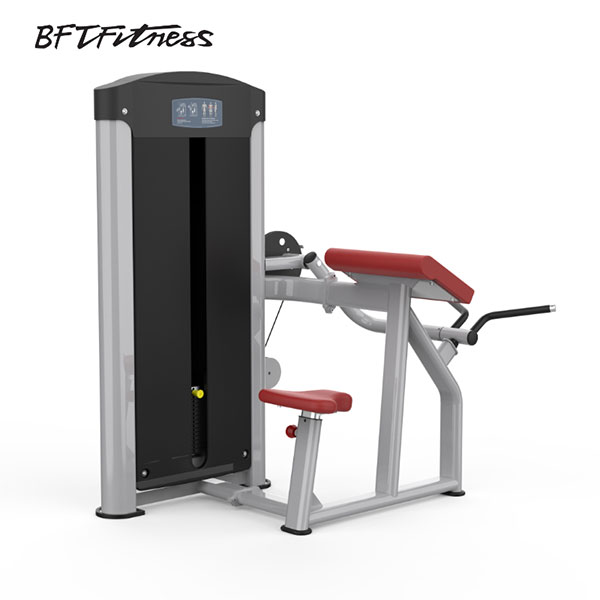 Biceps Curl