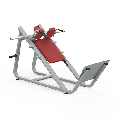 Hack Squat