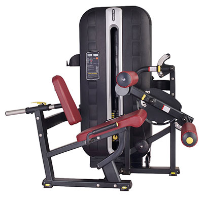 Seated Leg Curl