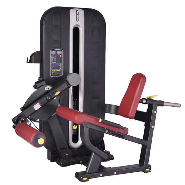 Leg Extension