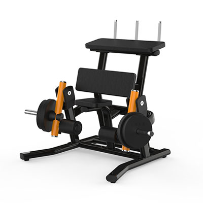 Kneeling Leg Curl